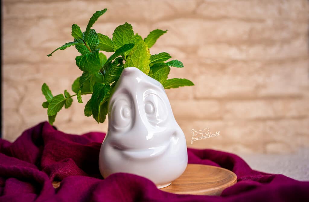 Lustige Vase mit Minze