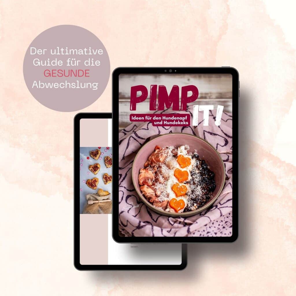 Guide Cover Pimp it! - Ideen für den Hundenapf und Hundekeks