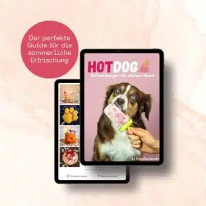 Sommerrezepte für Hunde