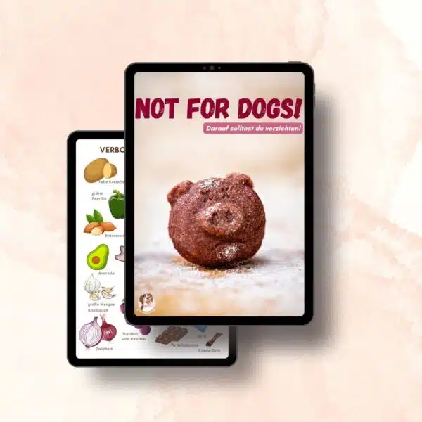 Giftig für den Hund