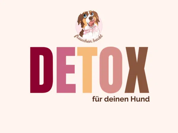Die Detoxkur für deinen Hund