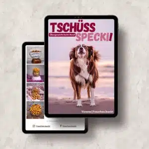 Tschüss Specki! Übergewicht beim Hund