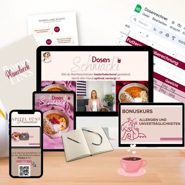 Onlinekurs DosenSchmacki