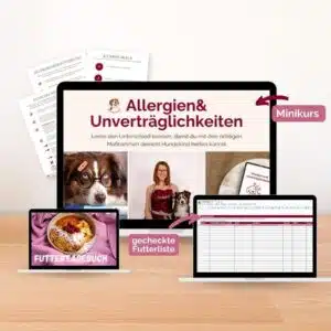 Onlinekurs Allergien und Unverträglichkeiten beim Hund