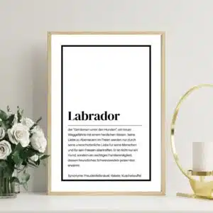 Digitales Definitionsposter Labrador