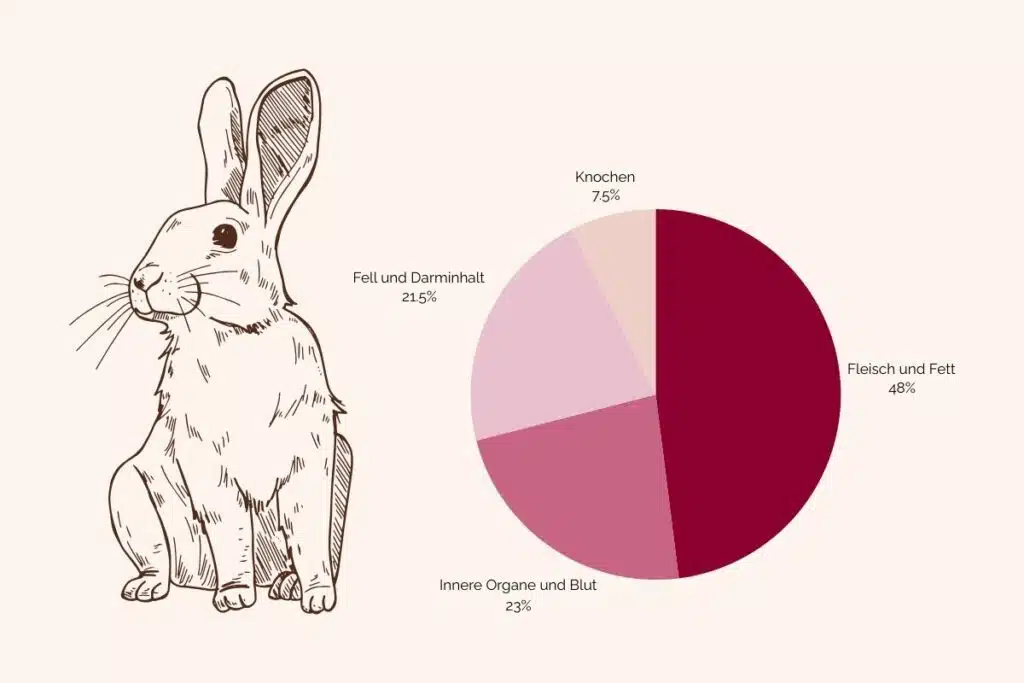 Grafik Beutetier anhand eines Kaninchens.